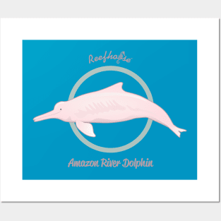 Reefhorse Amazon River Dolphin Posters and Art